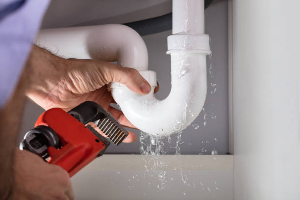 The Plumbing Whisperers: Expert Service for Every Need